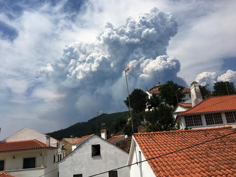 تصاویر جدید از آتش‌سوزی مرگبار در جنگل‌های پرتغال